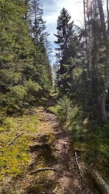 Nature Hike from Stockholm - Practical Considerations