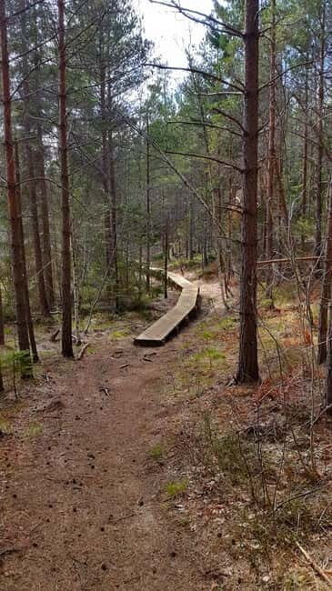 Nature Hike from Stockholm - Who Would Love This Tour?