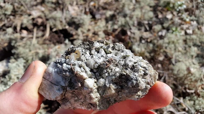 Nature Hike from Stockholm - FAQs