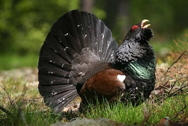 Nature Hike from Stockholm - Final Thoughts