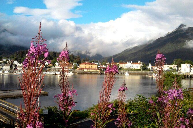 Nature Lovers Sitka Hiking Tour / Beaches, Trails + Scenic Points - The Practical Side: What to Expect