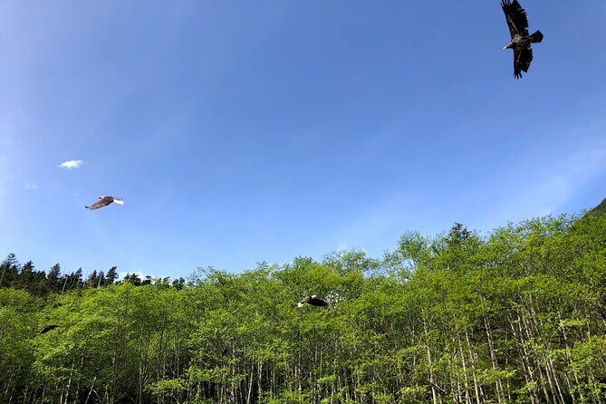 Nature Lovers Sitka Hiking Tour / Beaches, Trails + Scenic Points - FAQs