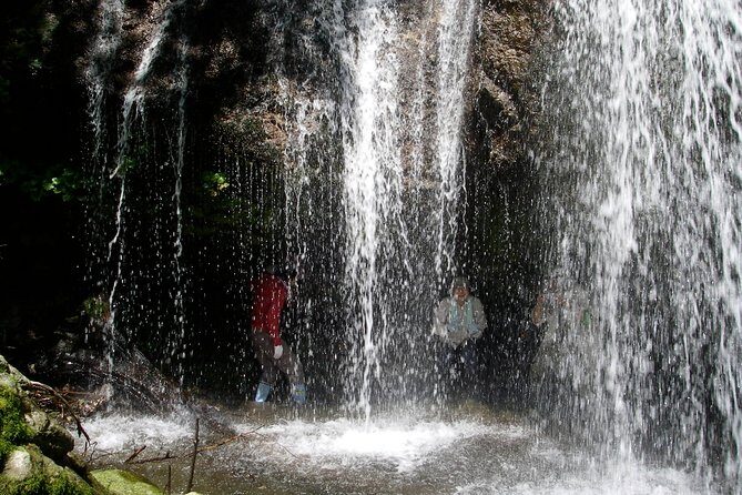 Nature tour around waterfalls that exudes from the beech forest Nishiwaga Town, Iwate Prefecture - A Detailed Look at the Waterfalls and Forest