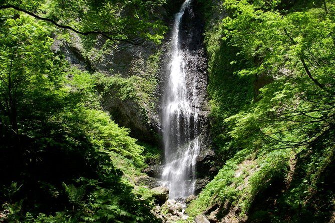 Nature tour around waterfalls that exudes from the beech forest Nishiwaga Town, Iwate Prefecture - Final Thoughts