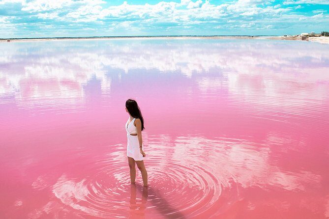 Nature Tour at Las Coloradas and Rio Lagartos Biosphere - An In-Depth Look at the Tour Experience