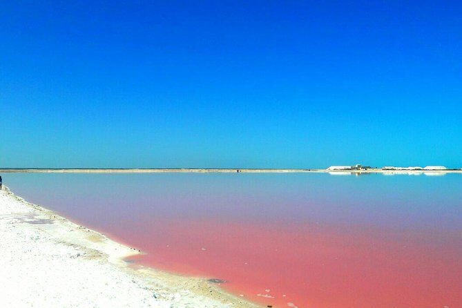 Nature Tour at Las Coloradas and Rio Lagartos Biosphere - The Bottom Line: Who Will Love This Tour?