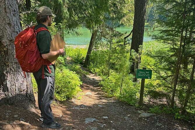 Nature Walk - An In-Depth Look at the Experience