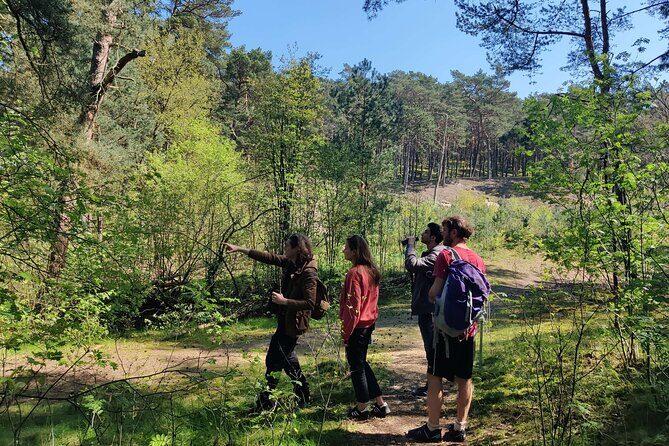 Nature Walk and Wildlife Tour in Sobieszewo Island - Key Points