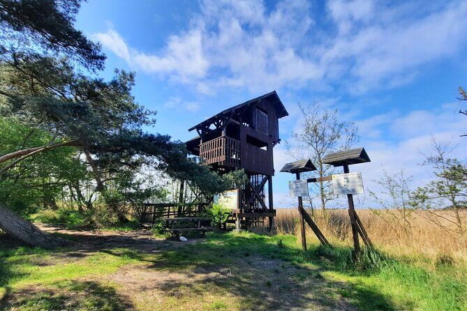 Nature Walk and Wildlife Tour in Sobieszewo Island - Who Will Love This Tour?