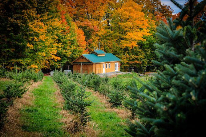 Nature Walk - Vermont Nature Walk Review: A Relaxing Self-Guided Escape into the Outdoors