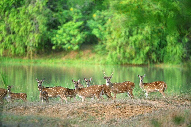 Nature & Wildlife - 10 Days Tour - FAQs