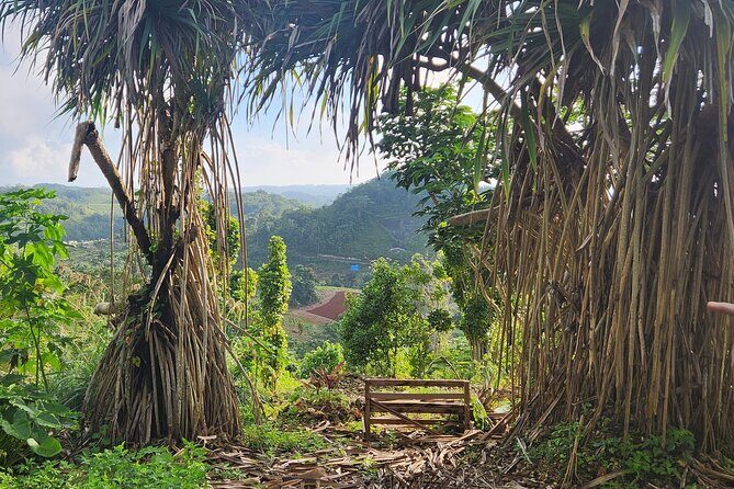 NatureCures Tropical Food Forest 12 Day Group Experience - Who Should Consider This Tour?