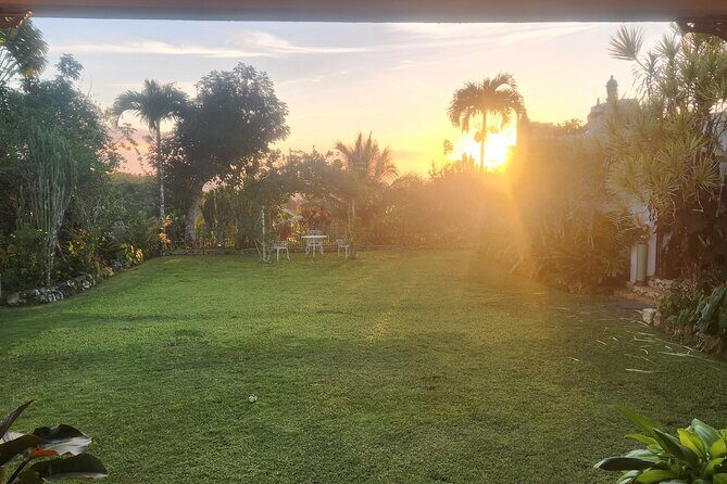 NatureCures Tropical Food Forest 12 Day Group Experience - The Sum Up: Is It Worth It?