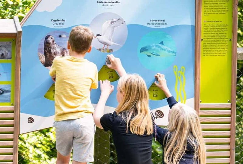 Naturerbe Zentrum Rügen & Treetop Walk Experience - Key Points