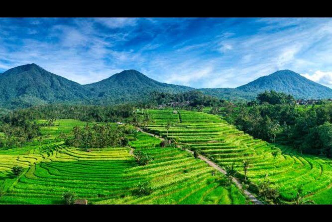 Nature's Beauty Unveiled: Jatiluwih Rice Terrace and Temple - In-Depth Look at the Tour Experience