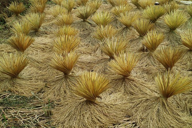Nature's healing Bandung country side - An In-Depth Look at the Itinerary
