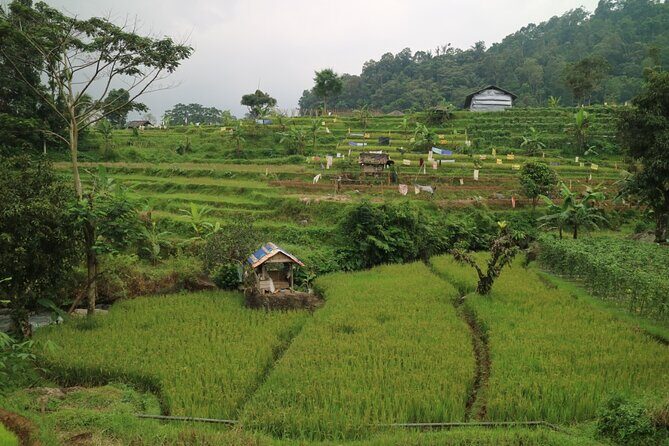 Nature's healing Bandung country side - Authentic Experiences & Guide Highlights