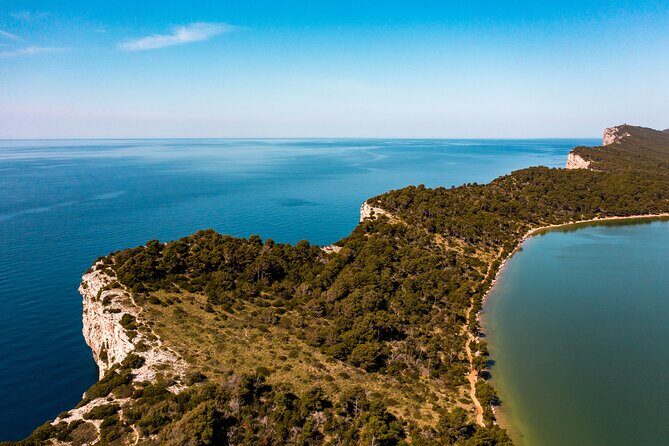 Nature's Masterpiece Full Day Tour in Dugi Otok Zadar - What Reviewers Say