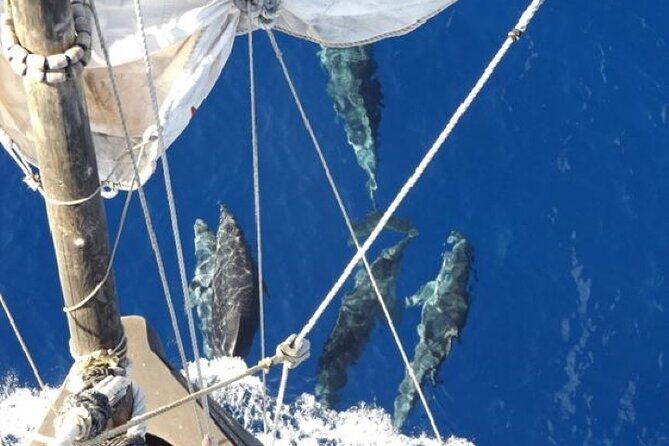 Nau Santa Maria - A Detailed Look at the Nau Santa Maria Experience