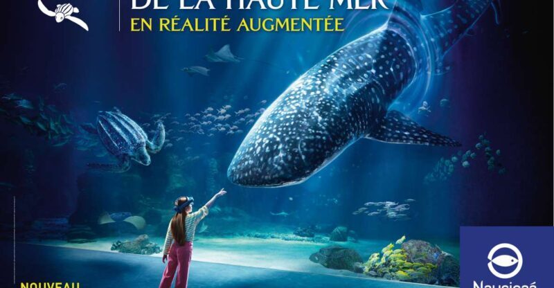 Nausicaá National Sea Center: Full-Day Entry Ticket - A Closer Look at Nausicaá: What to Expect from Your Visit