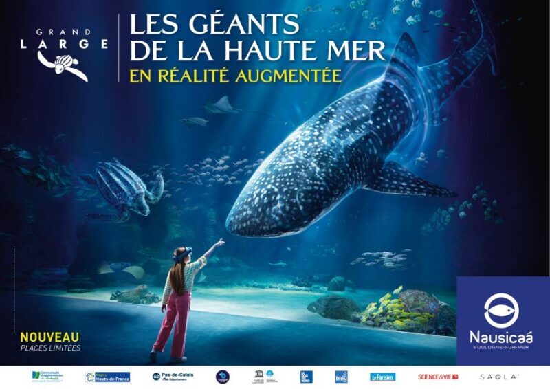 Nausicaá National Sea Center: Full-Day Entry Ticket - The Sum Up