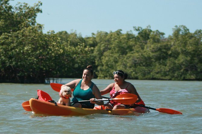 Nauti Exposures - Guided kayak tour through the Mangroves - Who Should Book This Tour?