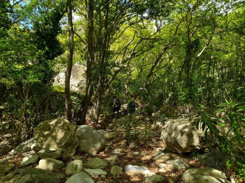 Naxos: A Riverbank Adventure (Kinidaros - Eggares villages) - Key Points