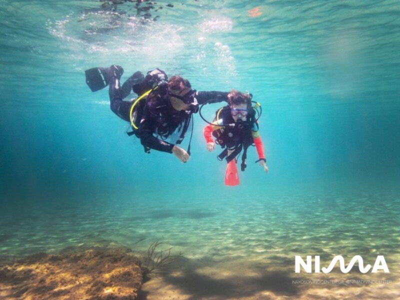 Naxos: Discover Scuba Dive with Nima Dive Center - Final Thoughts: Who Should Book This?