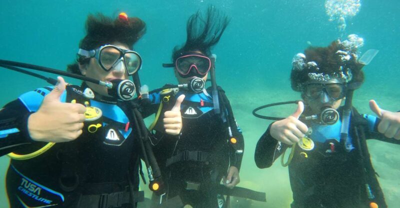 Naxos: Discover Scuba Diving on Agios Georgios Beach - What to Expect from Your Discover Scuba Experience in Naxos