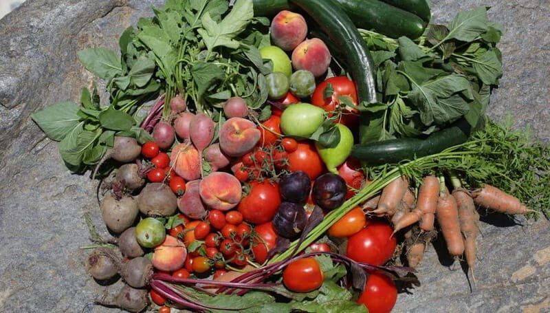 Naxos: Hands-On Cooking Class with Local Wine - Key Points