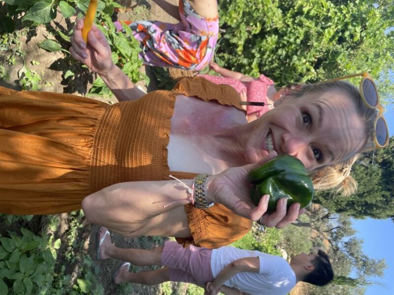 Naxos: In-Villa Private Dinner - Authentic Greek recipes - Practical Tips