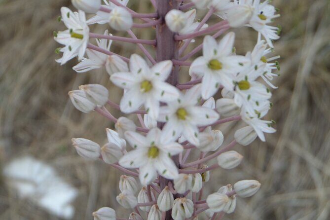 Naxos: Inland hike to explore local villages & antiquities - The Itinerary in Detail