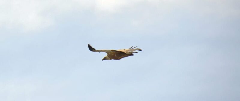 Naxos: Loop trail to the top of Cyclades where Zeus grew up! - Exploring Naxos’ Scenic Loop Trail to Mount Zeus