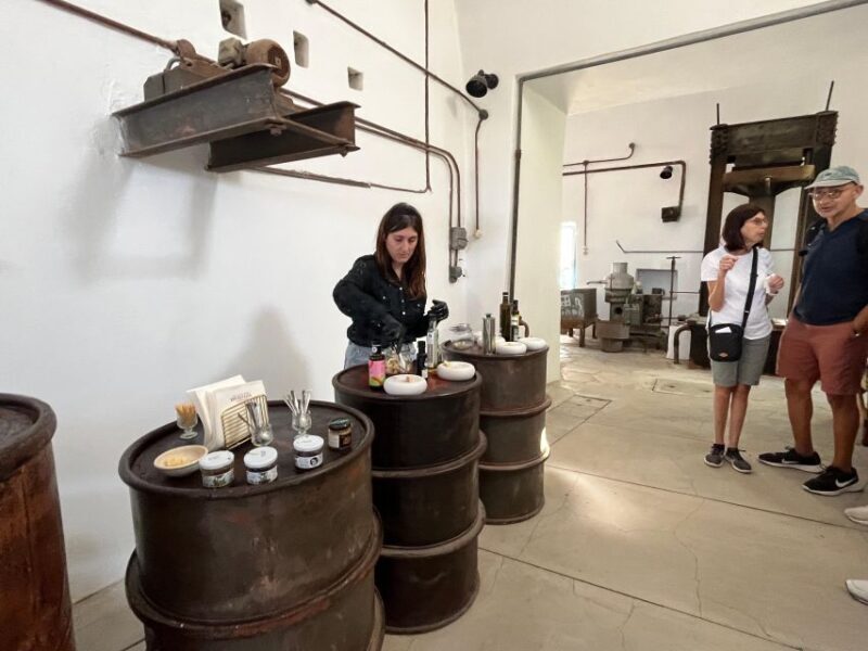 Naxos: Myths & Ancient Sites with Olive Oil tasting and Wine - Key Points