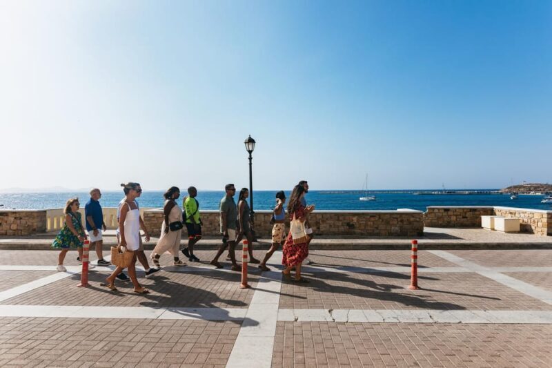 Naxos: Naxos Town Food Tour with Tastings and Wine - Practical Tips & Considerations