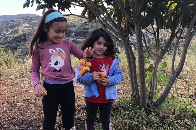 Naxos Perivoli Farm Experience & Wood-fire Cooking Class - Meeting the Farm Animals and Egg Collection