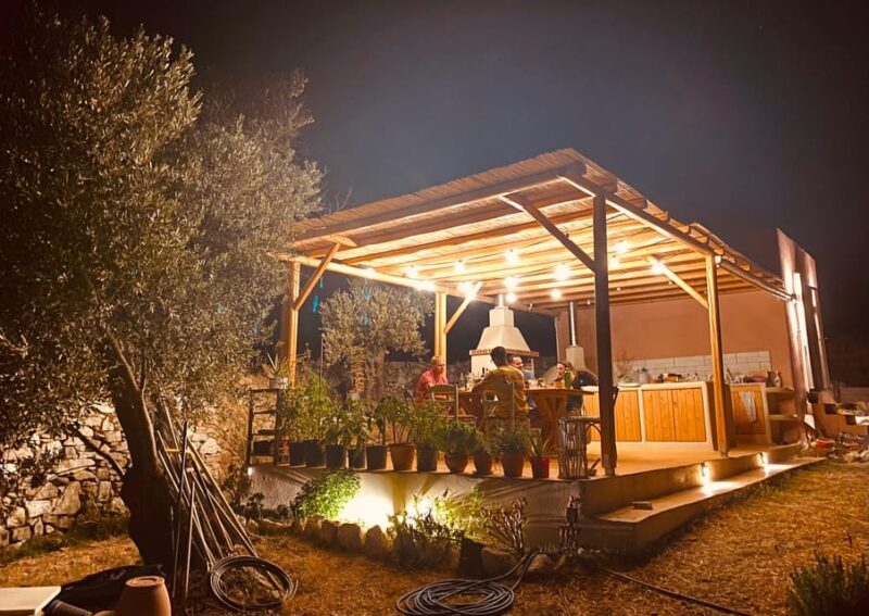 Naxos : Private BBQ night in the olive grove - A Closer Look: What to Expect from the Experience