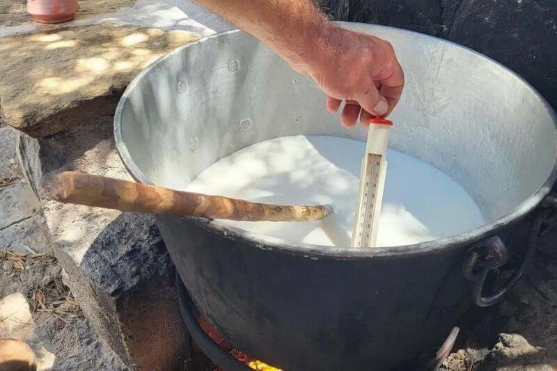 Naxos Private Cheese and Wine 6 Hour Experience - A Detailed Look at the Tour Experience