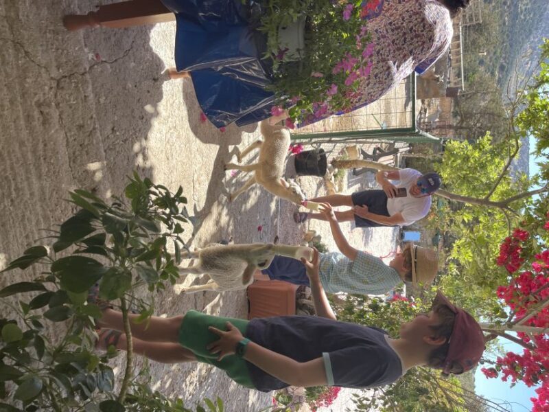 Naxos: Private Half-Day Family-Friendly Tasting Tour - Final Thoughts: Who Will Love This Tour?