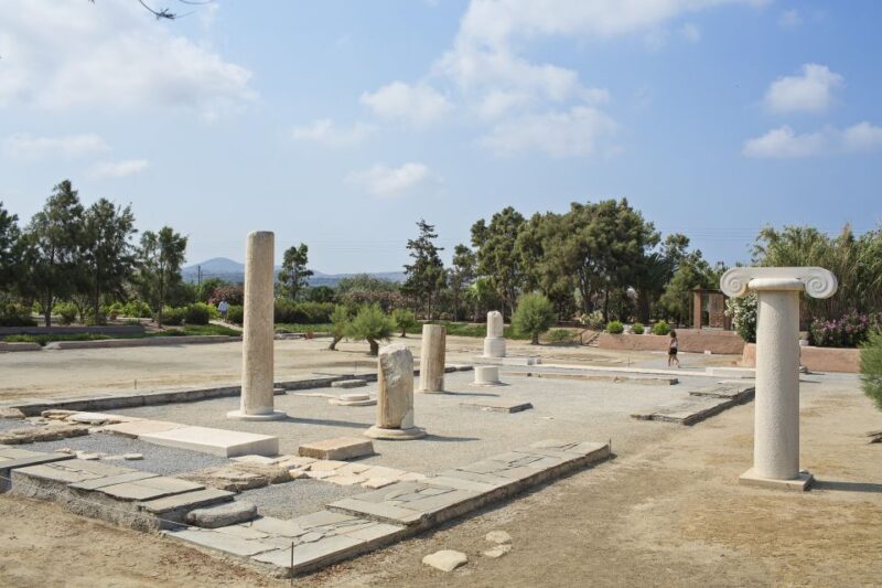 Naxos: Private Minibus Rental with an Experienced Driver - Key Points