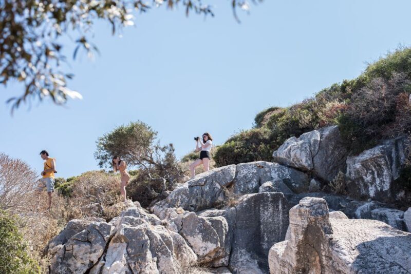 Naxos: Private Minibus Rental with an Experienced Driver - The Sum Up