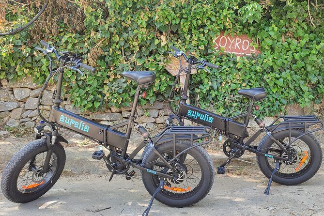 Naxos Private / Semi Private E-Bike Guided Tour Aegean Lush - The Sum Up