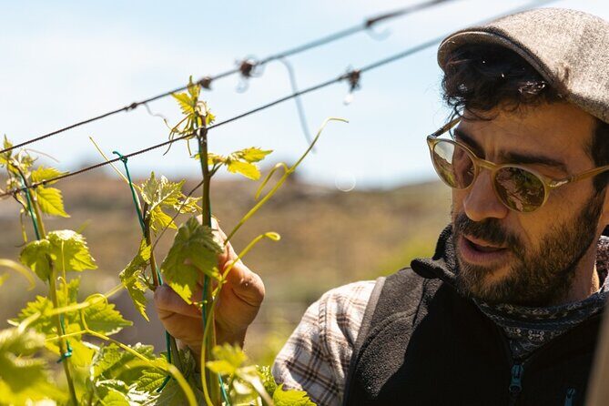 Naxos Private / Semi Private E-Bike Guided Tour Inland Methexis - Key Points