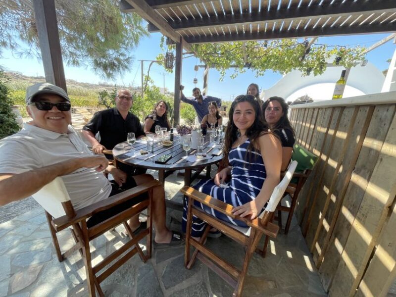 Naxos: Private Vineyard Tour & Wine Tasting with an Expert - A Closer Look at the Itinerary and Experience