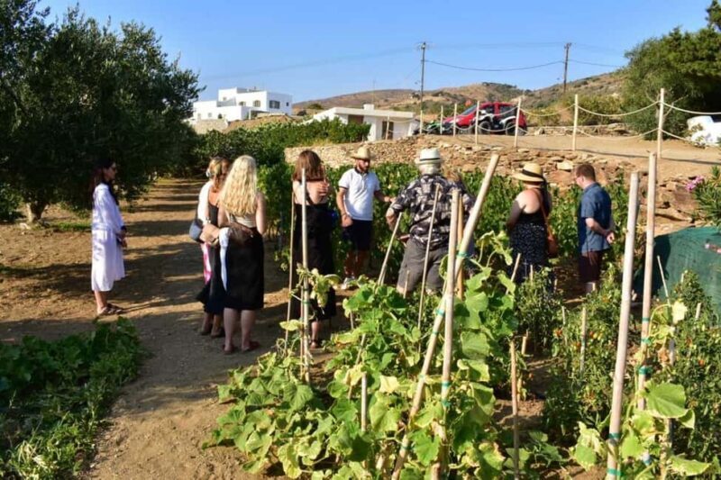 Naxos: Private Wine Tasting Tour - Key Points