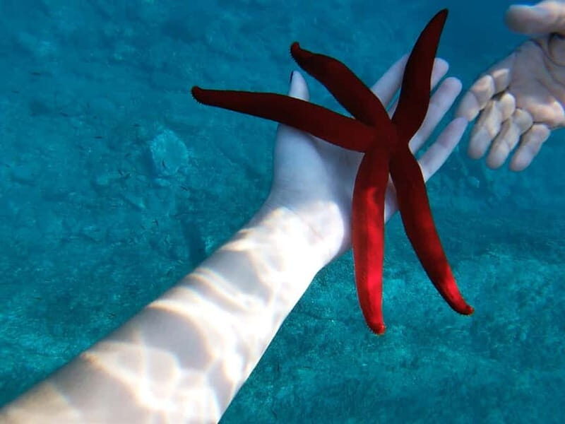 Naxos: Taormina Boat Tour with Snorkeling and Prosecco - A Deep Dive into the Experience