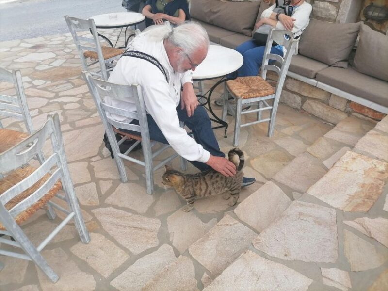 Naxos: Tour with Statues, Swimming, and Olive Oil Tasting - Final Thoughts