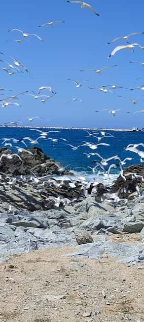 Naxos: West Coastline E-Bike Tour with Sunset Option - Final Thoughts