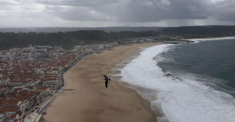 Nazaré: Big Wave Capital & Medieval Óbidos tour from Lisbon - An In-Depth Look at the Tour Experience