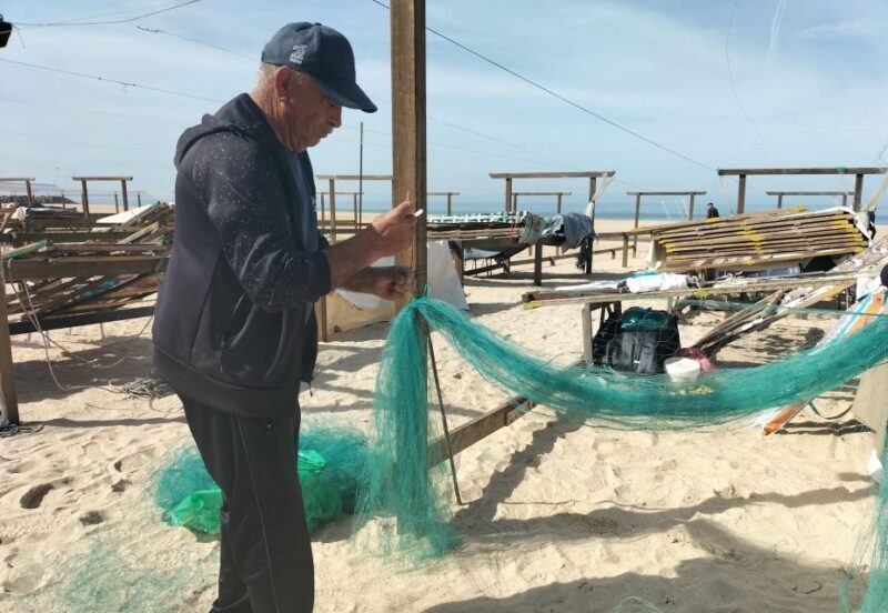 Nazaré (Giant Waves): Half-Day Private Tour from Lisbon - Final Thoughts